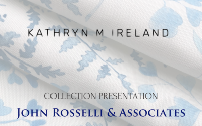 Watch Virtual Presentation | Kathryn Ireland