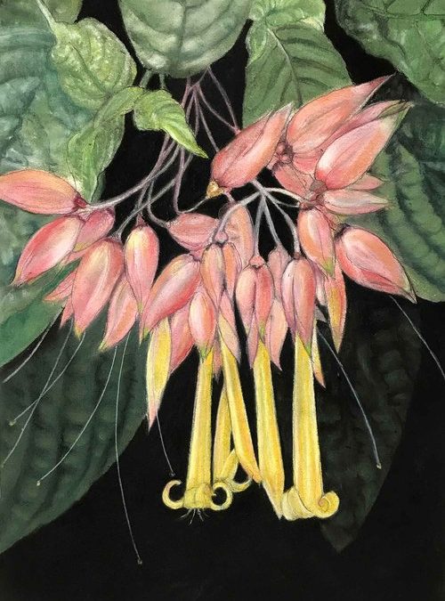 The Work of Marianne Stikas in NY